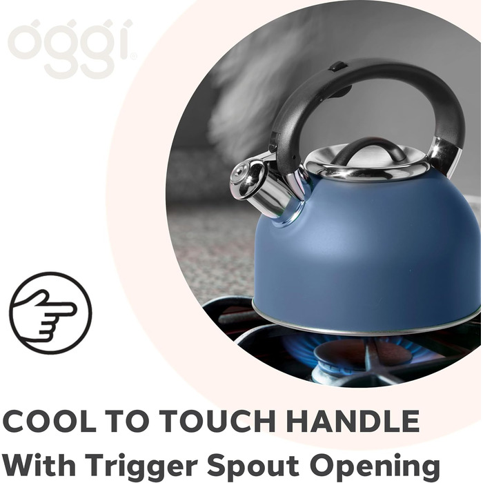 Чайник OGGI з нержавіючої сталі, 1.9 л, з гучною свистком, блакитний