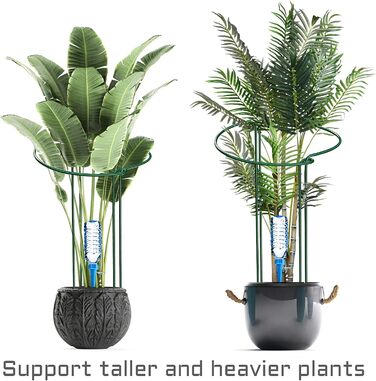 KAZITOO 8 Pack Large 60cm Tall Arch Plant Support Stakes, 4mm Thick Metal Garden Supports Green Half-Round Flower Rings with 4 Self-Watering Tips for Peonies, Hydrangeas, Monstera (60x30cm)