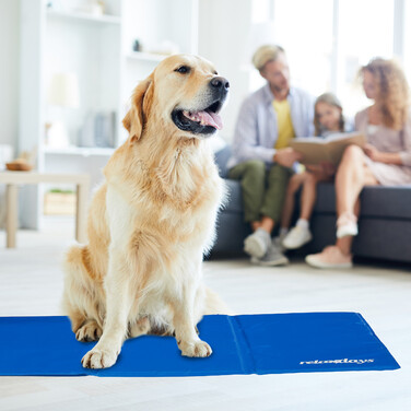 Relaxdays Blue Cooling Mat for Dogs