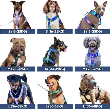 Шлейка для собак Spark Paws No Pull для великих порід, з переднім кріпленням, Y-подібна, міцна та надійна, Lime Wave, L (36-68 кг)