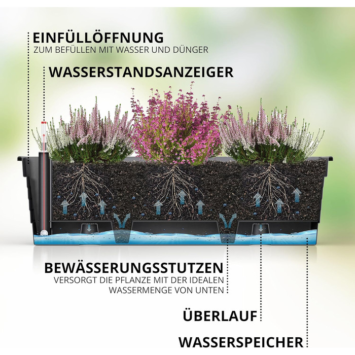 Plastard Milano Flower Box Set of 3, 60 cm long, Anthracite color with water reservoir and water level indicator. Planting box for garden and balcony, weather-resistant for indoor and outdoor use.