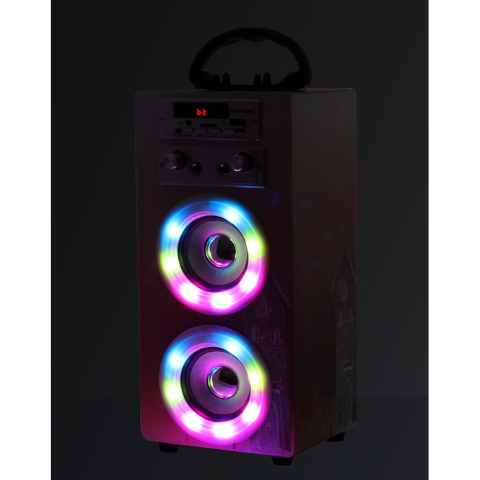 Караоке DYNASONIC з 2 мікрофонами, портативна караоке-машина, Bluetooth-динамік, USB та SD-кардридер, світлові ефекти, подарунок для дітей 5-13 років (Model 19)