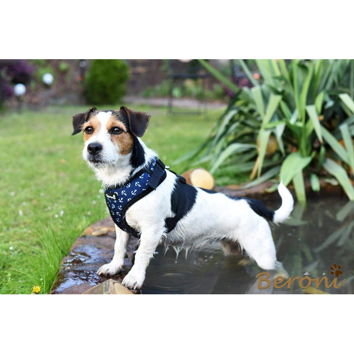 Шлейка для собак Softgeschirr, морська тематика, регульована, розмір L (37-42см, 47-63см)