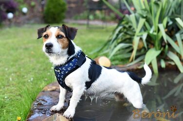 Шлейка для собак Softgeschirr, морська тематика, регульована, розмір L (37-42см, 47-63см)