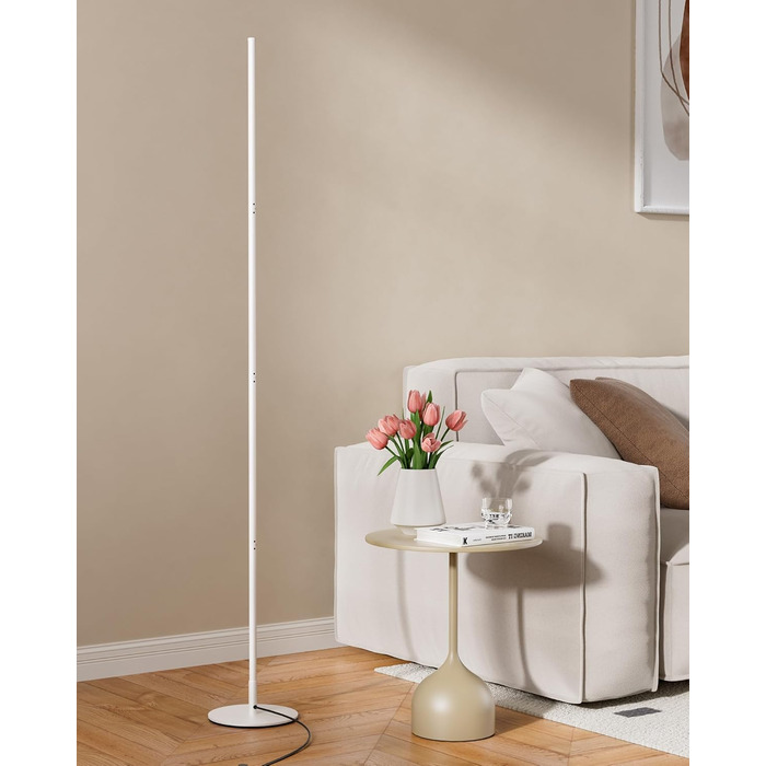 LED торшер Edishine з димуванням, тепле світло 3000K, регульована висота 146 см, для вітальні, спальні, офісу, з функцією пам'яті