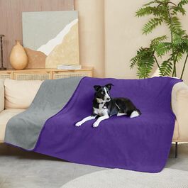 колір: ліла/темносірий