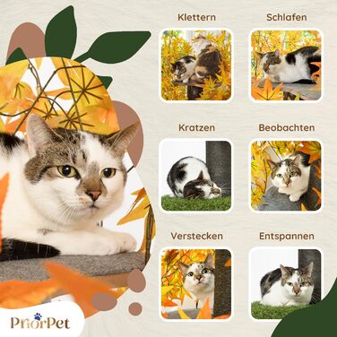 Дерево для котів Kratzbaum Natur - багатоярусне, з висувними елементами, 160 см, безпечні матеріали, патентована міцність