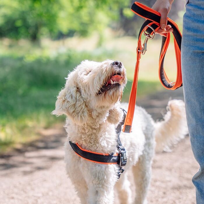 Набір посуду Nobby Norwegergeschirr Mesh Preno, блакитний, розмір L (60-76 см + 46 см; ширина 25/35 мм), 1 шт.