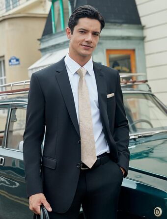 Кравка для чоловіків HISDERN: комплект краватки та нагрудного хустинки з павловушковим візерунком, формальна класична краватки для весілля, N-Бежевий