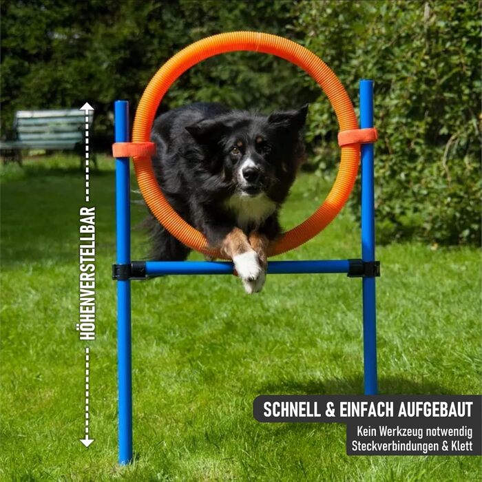 Набір для аджиліті NATIV LEMODO для собак | Тренування собак з бар'єрами та стрибковим кільцем | Легкий у транспортуванні аксесуар для аджиліті | Початковий набір у собачий спорт (з тунелем)