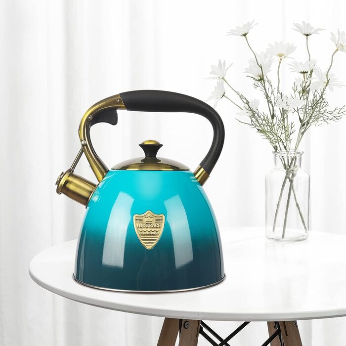 Чайник для плити Teekessel з нержавіючої сталі, 2,9 л (Блакитний)