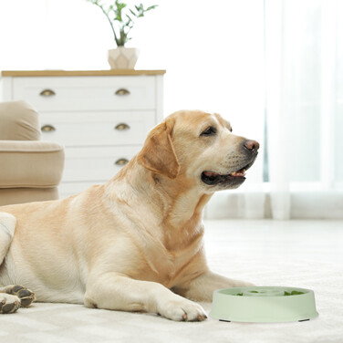 Relaxdays Anti-Sliding Bowl 500 ml
