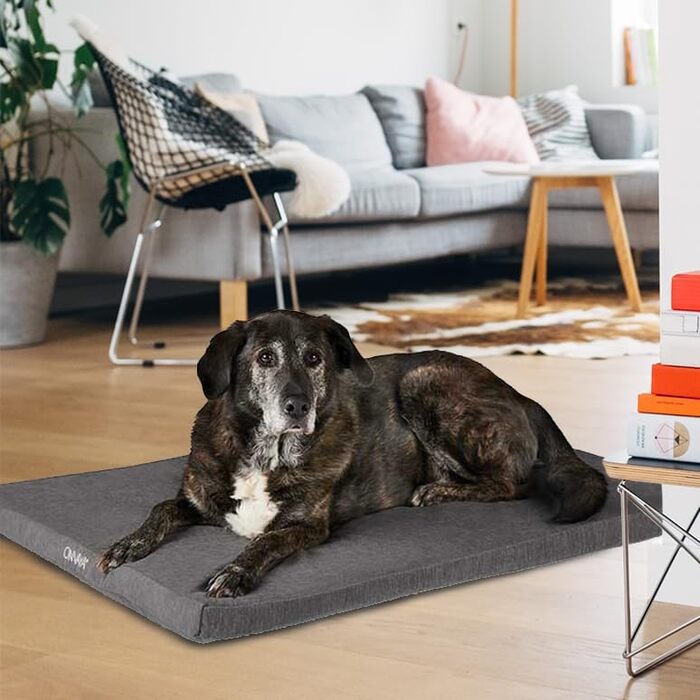 Килимок для собак ONVAYA® з піною з пам'яті | Ортопедичний | Можна прати при 95°C | Сірий | Розмір S | Матрац для собак | Підстилка для собак | Килимок для лежання (78 x 55 x 5 см)