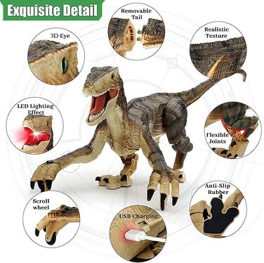 Remote Control Dinosaur Toy, Electronic Walking Velociraptor with LED Lighting & Realistic Simulation Sounds, 2.4 GHz Velociraptor Toy, Best RC Dinosaur Gifts for Kids