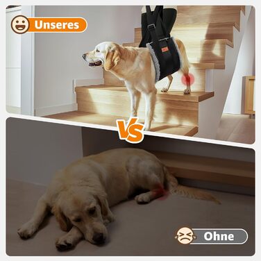 Регульована переносна допомога для собак, переносна лямка для реабілітації, поранених, травмованих або літніх собак - шлейка для собак як засіб допомоги при ходьбі для маленьких і великих собак, сірий колір, XL