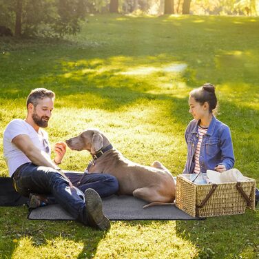 Водонепроникна килимок для собак та котів 95x65 см, складаний, для подорожей та дому