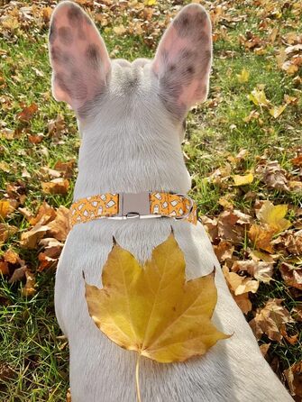 Нашийник для собак Lionet Paws на Halloween з метеликом, бавовна, зручний, з металевим затвором, розмір M (34-55 см), 1 шт. Ghost