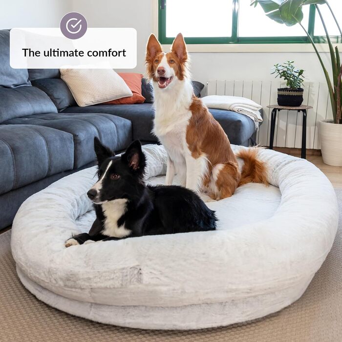 Dog Bed for Humans & Dogs | Huge Human Dog Bed for People | Warm & Comfortable Beanbag Bed | Dog Bed for People & Pets in Human Size | Blanket Included & Removable Cover | Grey (Light Grey)