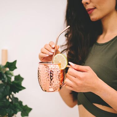 Moscow Mule Mug Set - 4 x 500 ml Copper Mug Set with Stainless Steel Interior - Cocktails, Iced Coffee, Lemonade & Gin Copper Mugs - 4 Straws, 4 Coasters, Jigger & Cleaning Brush