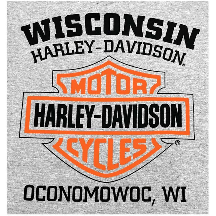 Світшот Harley-Davidson чоловічий 30297503-rev, 3XL, сірий спортивний