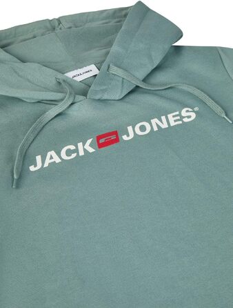 Чоловічий худі Jack & Jones JJMORTY Regular Fit з принтом, колір Trooper (зелений/сірий), розмір S