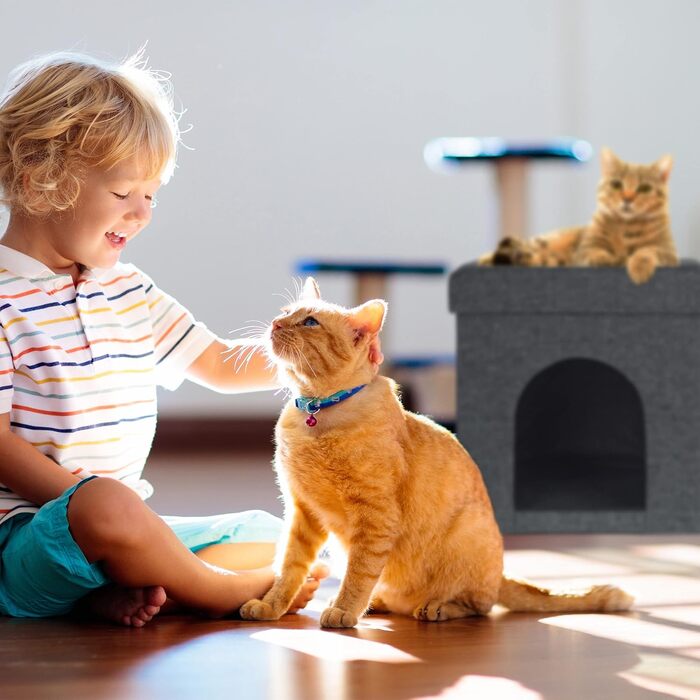 Кігтеточка-будиночок Relaxdays для котів та маленьких собак, сіра, 38,5 x 37 x 37 см