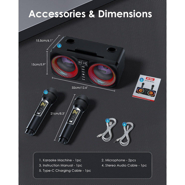 Караоке система All-in-One з Bluetooth, 2 мікрофонами та акустикою 30W, для вечірок (Red2)