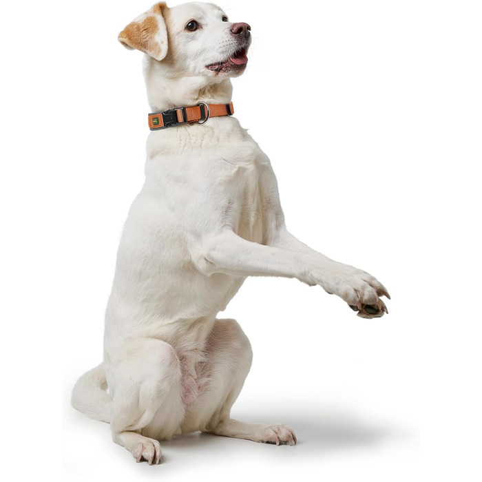 Нашийник для собак HUNTER Neopren Vario Plus, нейлон, неопрен, регульований, з поглинанням ударів, комфортний, розмір L/2,5