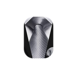 Краватка та нагрудний хустинка HISDERN: комплект для весілля, ділових зустрічей та свят (срібно-сірий)