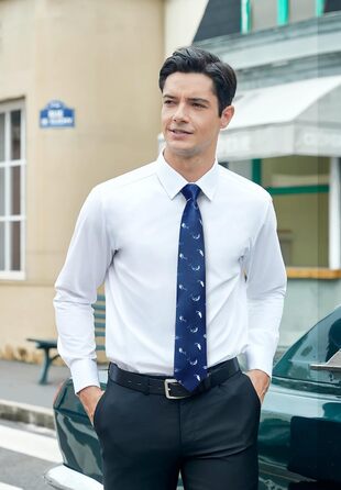 HISDERN Комплект краватки та нагрудного хустинки для чоловіків з принтом тварин (Marineblau/Walfisch)