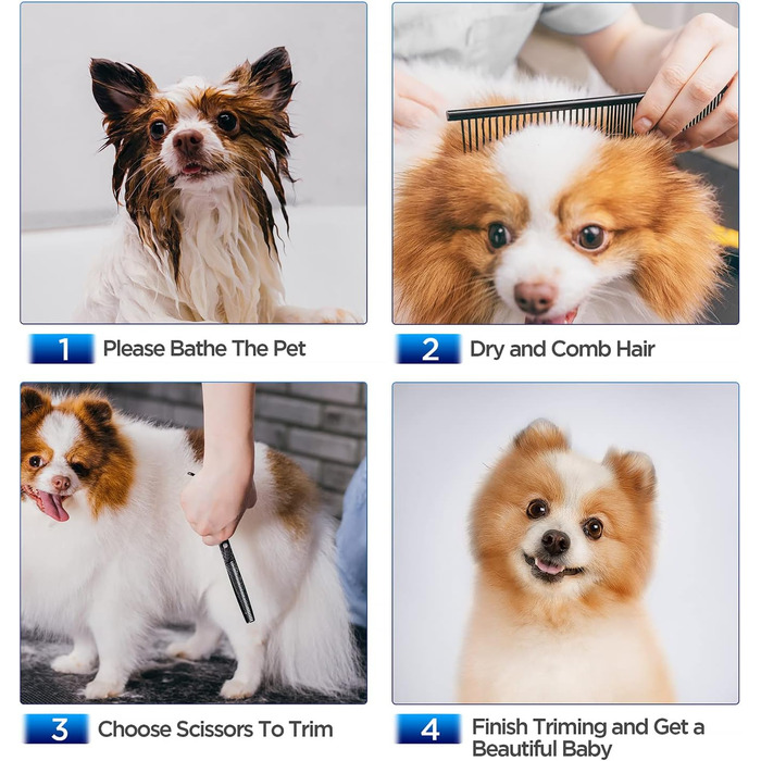 Професійна 5-в-1 ножиці для собак Gimars: 4CR сталь, безпечна закруглена накінечник, титанове покриття, прямі, філірувальні та зігнуті ножиці