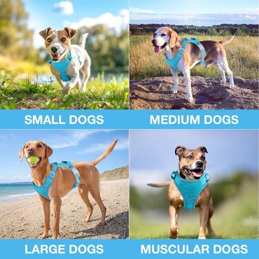 Світлодіодна шлейка для собак з підсвічуванням LED, перезаряджувана, для малих, середніх та великих собак, світловідбиваюча, регульована, XL (Чорний, Medium)