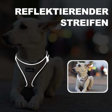 Нашийник та поводок для собак Haapaw, антинатяг, регульований, світловідбиваючий, Step-in, для цуценят та маленьких собак, посилена підкладка, колір Бежевий, розмір M (38.1-45.7 см, 4.5-6.8 кг)