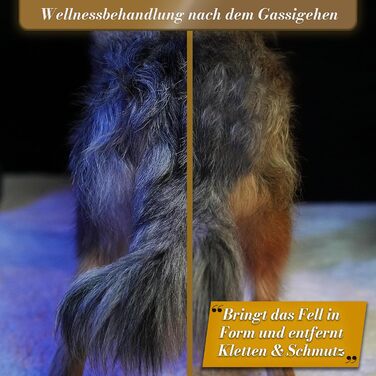 Феллентвіррєр BluePet для довгошерстих собак та котів: щітка-розпушувач з двома рядами пінів, версія 2.0 Limited Edition