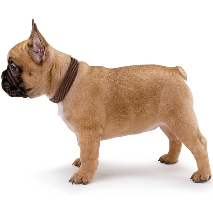 Нашийник для собак Hunter Vario Plus, міцний, гнучкий, з надійною застібкою, M-L/2.0, petrol