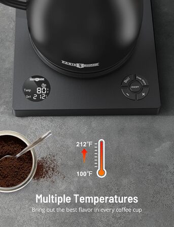 PARIS RHÔNE Swan Neck Electric Kettle with Temperature Control - 0.9L, 24-Hour Keep Warm, Dark Green