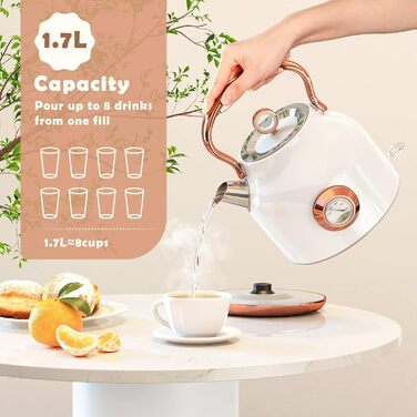 Чайник електричний NESSGRAIM Retro, 1.7л, нержавіюча сталь, з LED-індикатором, чорний (Елегантний білий)