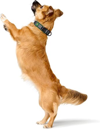 Нашийник для собак HUNTER Maldon, зелений, XL: дихаюча сітка, міцний нейлон, безшумний, гіпоалергенний, з регулюванням натягу, адресник, легкий