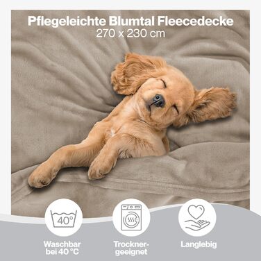 Пухка ковдра Blumtal Kuscheldecke: сертифікована Oeko-TEX флісова ковдра 150x200 см для дому та відпочинку. Ковдра для дивану, вітальні, тепла та затишку. Розмір 270x230 см, колір тауп.