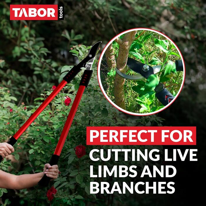 Секатор TABOR TOOLS GL16E для свіжої деревини до 35 мм, садові ножиці з високою силою різу, ергономічною ручкою, амортизатором та антипригарними лезами