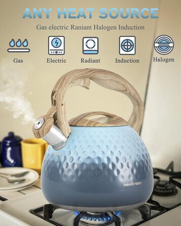 Чайник для заварювання чаю Teekessel 2,7 л з емальованим покриттям, зелений колір з імітацією дерева, з носиком-свистком, з нержавіючої сталі, антипригарне покриття, зручна ручка оливкового кольору з переходом у блакитний