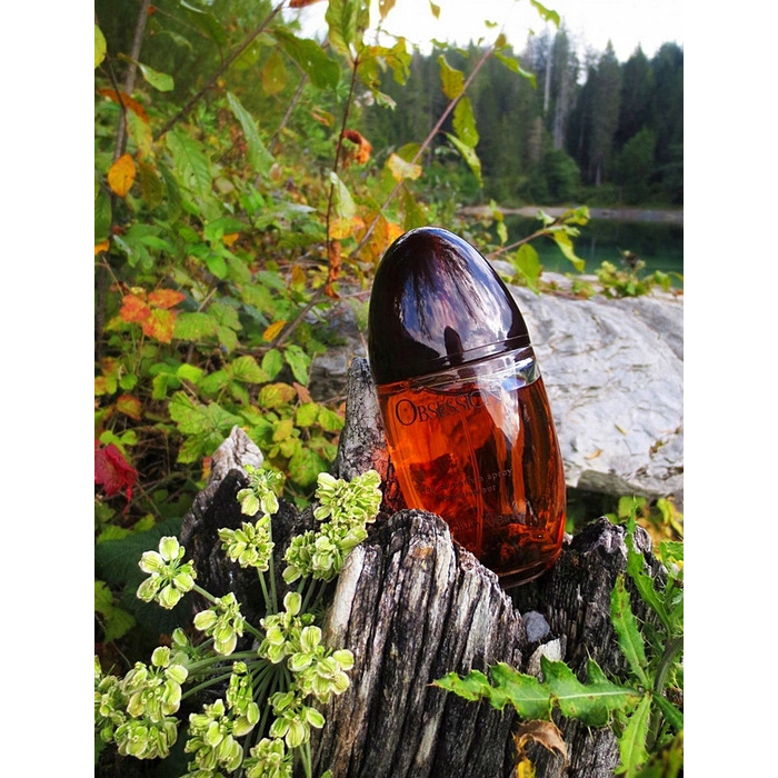 Парфумована вода Calvin Klein Obsession для жінок, 100 мл