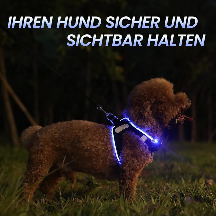 Світлодіодне обіднє нашийник для собак PcEoTllar: безпека та стиль для вашого улюбленця. Зручний, світловідбиваючий, з 3 режимами освітлення, підходить для собак маленьких та середніх порід.