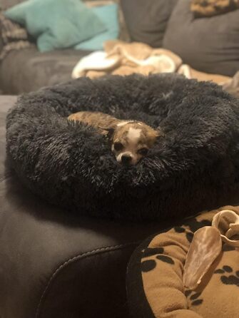 М'яке ліжко для собак Haoye, кругла подушка для домашніх тварин, ліжко для котів та собак, донат, милі ліжка, для котів та собак (діаметр 50-120 см / 7 розмірів), діаметр 60 см (чорний, діаметр 50 см)