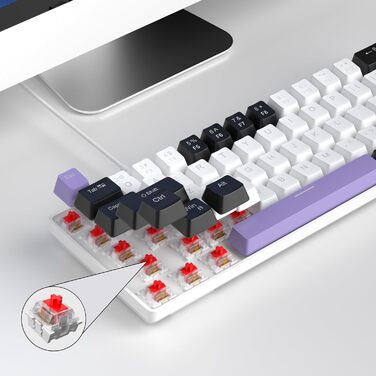 Механічна ігрова клавіатура MageGee MK-Box 68 клавіш TKL з LED-підсвічуванням, сіра (фіолетовий/червоний перемикач)
