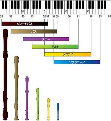 Блокфлейта Yamaha Soprano, німецька система, Ecodear