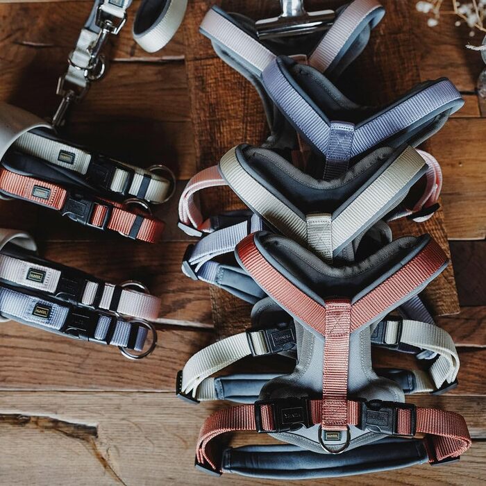 Нашийник для собак HUNTER Neopren Vario Plus, нейлон, неопрен, регульований, з поглиначем ударів, комфортний, XS-S