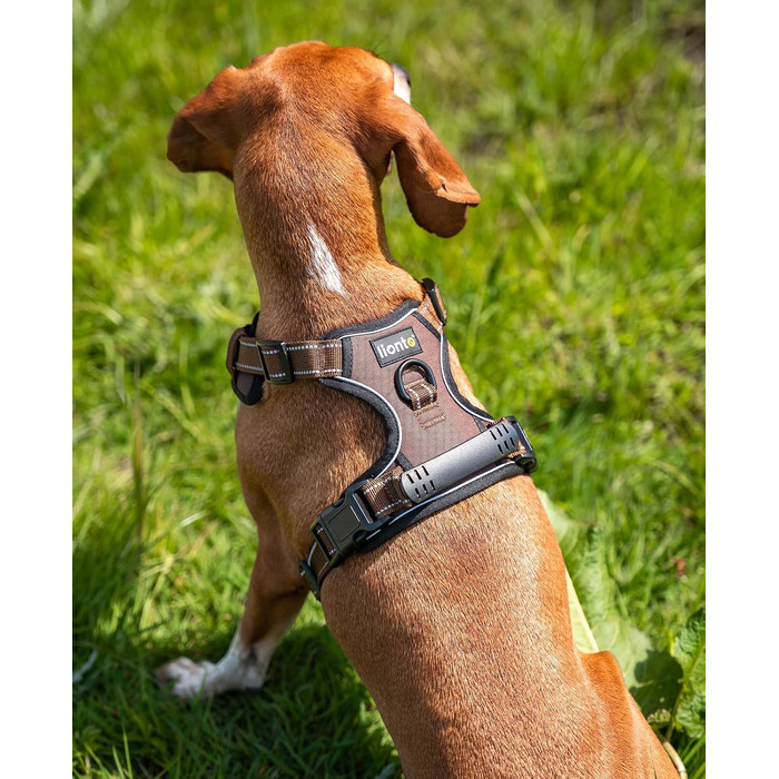 Нашийник для собак Lionto з м'якого нейлону, анти-тяга, з 2 кільцями та 4 регульованими ремінцями, 2 застібки-кліпси, гумовий ручка, розмір M, коричневий