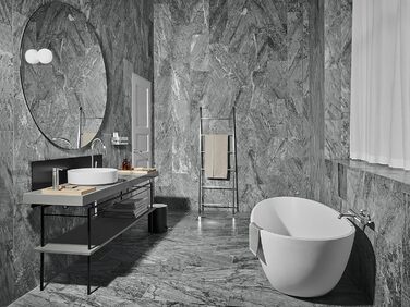 Торцева щітка Blomus NEXIO з матованої нержавіючої сталі, для туалету, сумісна з іншими аксесуарами, преміум-якість (35 x 9 x 9 см)