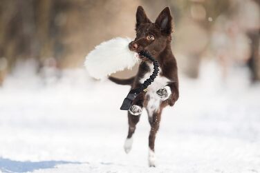Іграшка для собак Dingo з овечої шерсті з банджі-ручкою, апорт для тренування та перетягування, чорна ручка